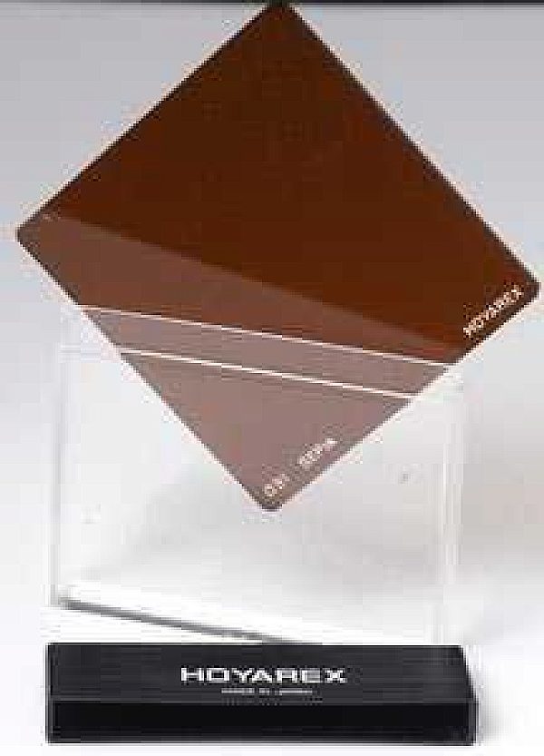 Hoyarex 031 Sepia